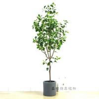 uploads/erp/collection/images/Home Garden/dgjiawang/XU0612934/img_b/XU0612934_img_b_5